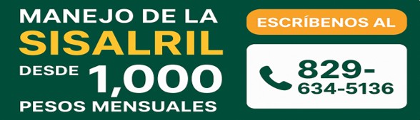 Manejo de la SISALRIL desde 1,000 pesos mensuales